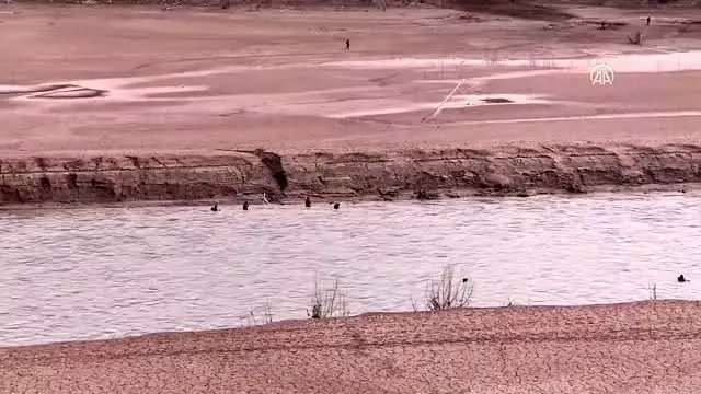 Bottan Munzur Çayı'na düşen uzman çavuşu arama çalışmaları sürüyor Bottan Munzur Çayı'na düşen uzman çavuşu arama çalışmaları sürüyor