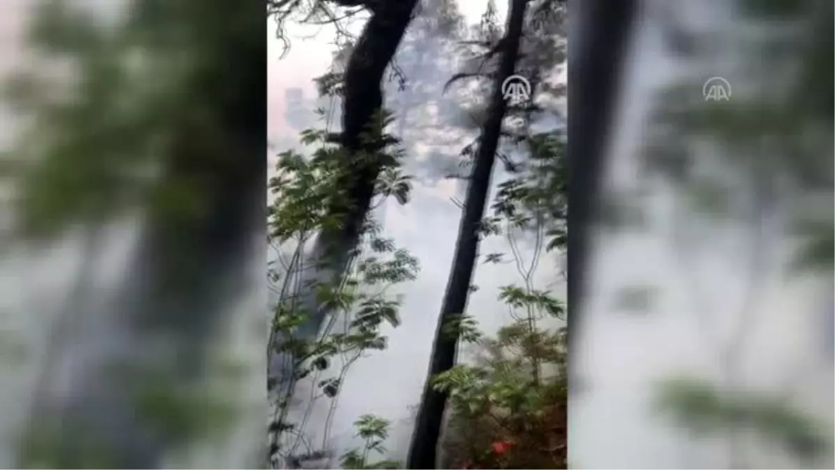 Dursunbey’de çıkan orman yangını söndürüldü