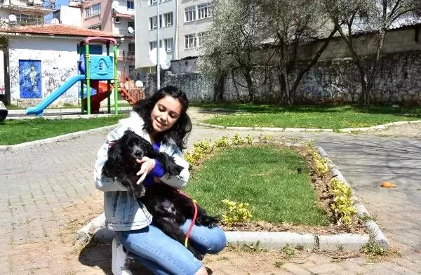 Hayvanseverlerden koronavirüs tedbiri Hayvanseverlerden koronavirüs tedbiri