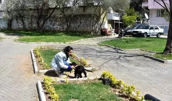 Hayvanseverlerden koronavirüs tedbiri Hayvanseverlerden koronavirüs tedbiri