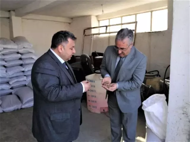 Iğdır'da Korunga üretimi teşvik ediliyor Iğdır'da Korunga üretimi teşvik ediliyor