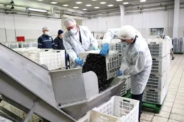 Marmarabirlik ürünlerine zam yapmayacak Marmarabirlik ürünlerine zam yapmayacak