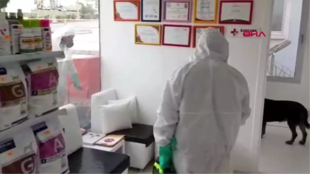 MUĞLA Bodrum’da dezenfekte seferberliği
