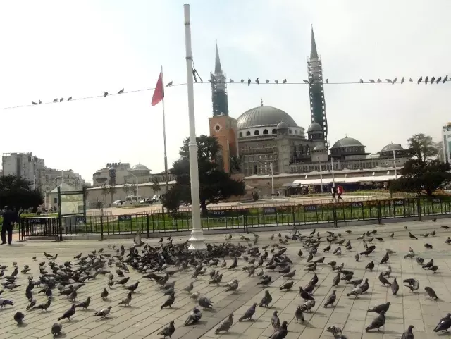 Taksim Meydanı kuşlara kaldı Taksim Meydanı kuşlara kaldı