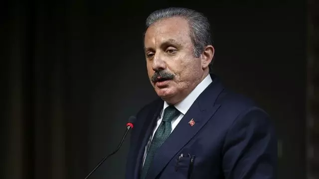 TBMM Başkanı Şentop, TBMM Başkanı Şentop,