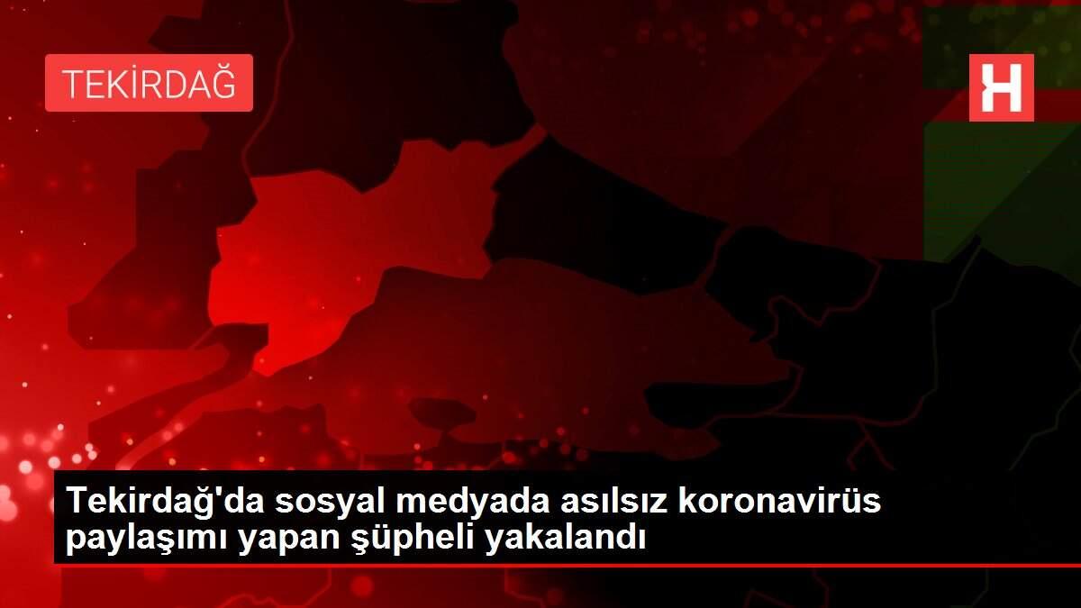Tekirdağ'da sosyal medyada asılsız koronavirüs paylaşımı yapan şüpheli yakalandı