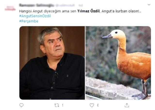 Yılmaz Özdil sokağa çıkma yasağını delen yaşlılara 'angut' dedi, sosyal medyadan tepki çekti