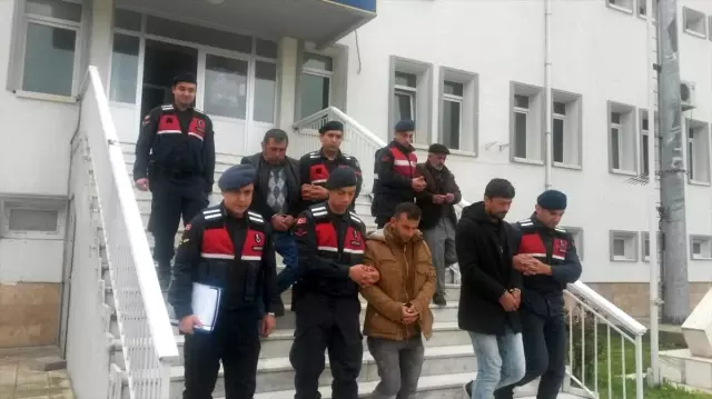 Aydın'da hayvan hırsızlığı zanlıları yakalandı
