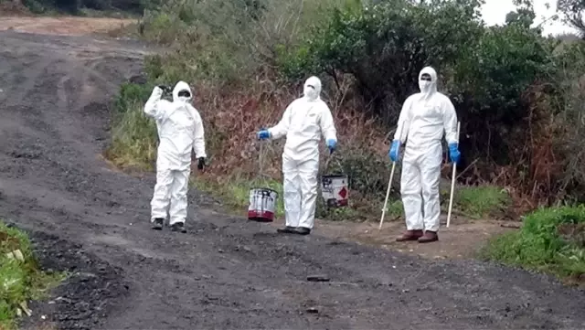 İBB'den koronavirüs mezarlıkları ile ilgili açıklama: Önlemler en süt düzeyde alınıyor İBB'den koronavirüs mezarlıkları ile ilgili açıklama: Önlemler en süt düzeyde alınıyor