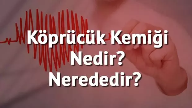 Köprücük Kemiği Nedir? Nerededir? Köprücük Kemiği Kırığı ve Tedavisi Köprücük Kemiği Nedir? Nerededir? Köprücük Kemiği Kırığı ve Tedavisi