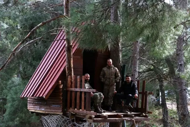 Koronavirüsten korunmak için ormanda ağacın tepesine ev yaptılar