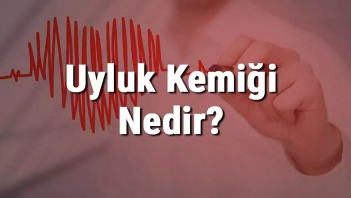 Uyluk Kemiği Nedir? Nerededir? Uyluk Kemiği Ağrısı, Kırığı ve Tedavisi
