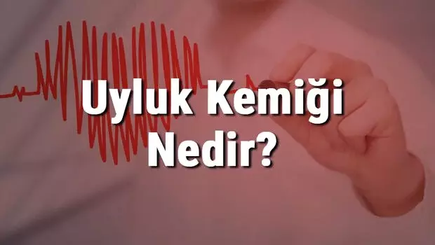 Uyluk Kemiği Nedir? Nerededir? Uyluk Kemiği Ağrısı, Kırığı ve Tedavisi Uyluk Kemiği Nedir? Nerededir? Uyluk Kemiği Ağrısı, Kırığı ve Tedavisi