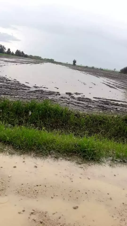 Adana'da dolu yağışı hayatı olumsuz etkiledi