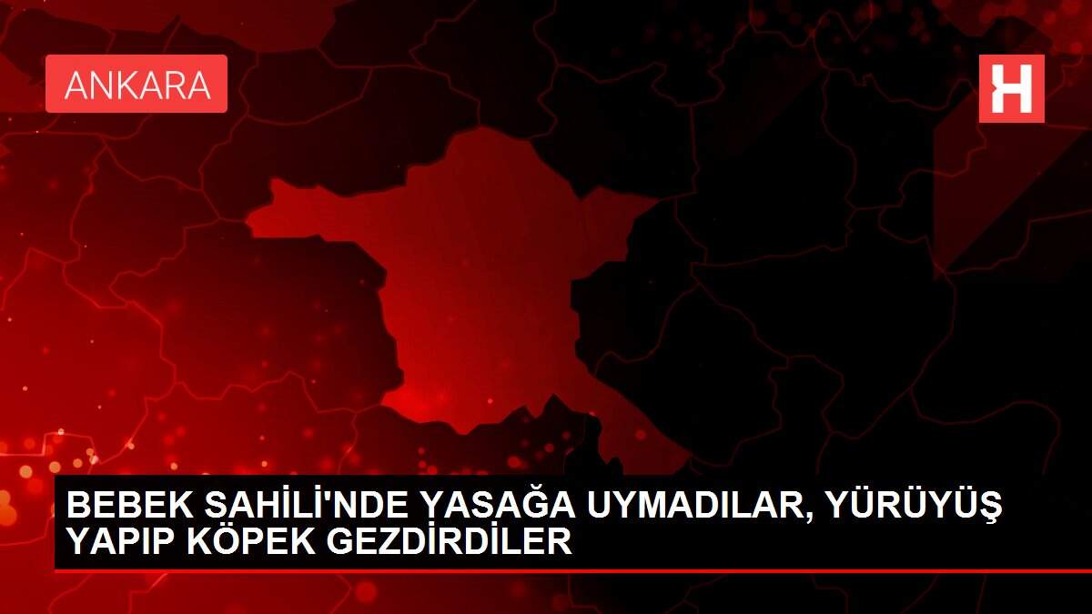 BEBEK SAHİLİ'NDE YASAĞA UYMADILAR, YÜRÜYÜŞ YAPIP KÖPEK GEZDİRDİLER