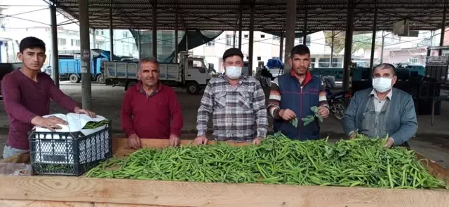 Bezelyeyi soğuk vurdu