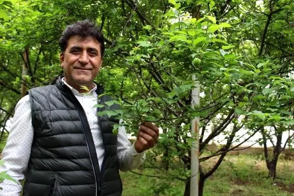 750 TL’den satışa sunulan can eriğin kilosu koronavirüs nedeniyle 50 TL’ye düştü