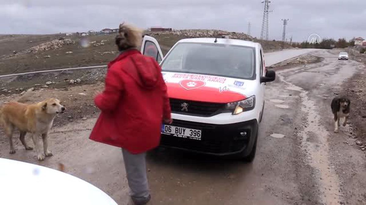 Koronavirüsle mücadele günlerinde 'can dostları' unutmadılar