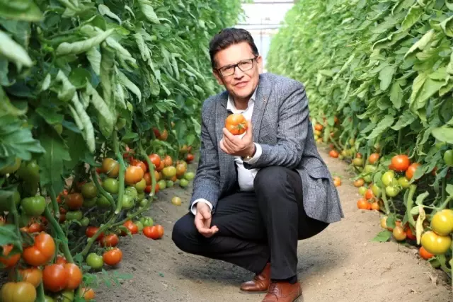 AK Partili Uslu: AK Partili Uslu:
