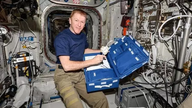 Dar alanda yaşama konusunda tecrübeli astronottan evde kalanlara tavsiyeler Dar alanda yaşama konusunda tecrübeli astronottan evde kalanlara tavsiyeler