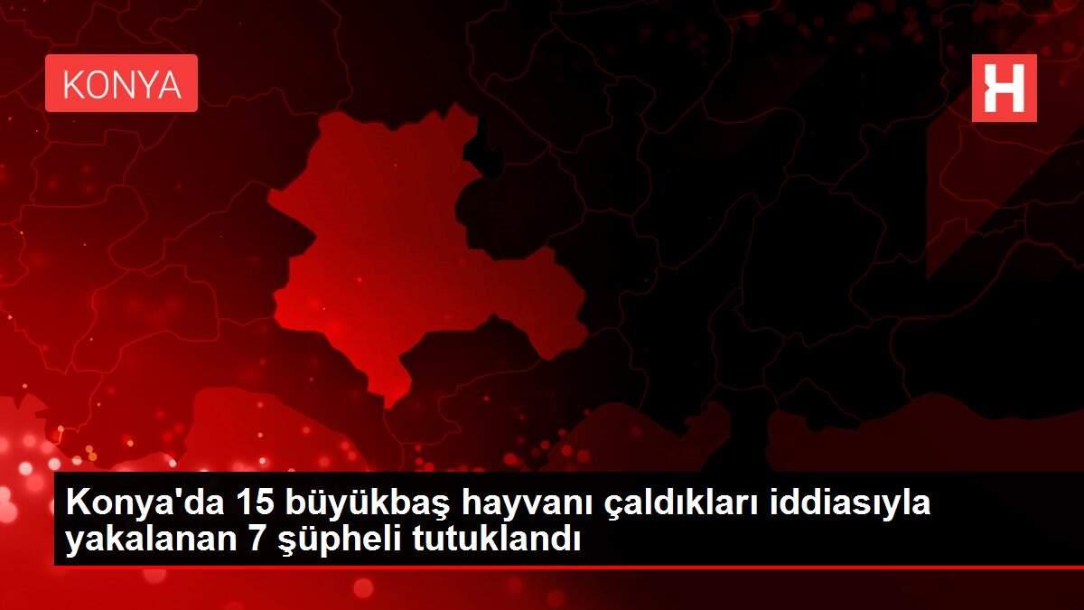 Konya'da 15 büyükbaş hayvanı çaldıkları iddiasıyla yakalanan 7 şüpheli tutuklandı Konya'da 15 büyükbaş hayvanı çaldıkları iddiasıyla yakalanan 7 şüpheli tutuklandı