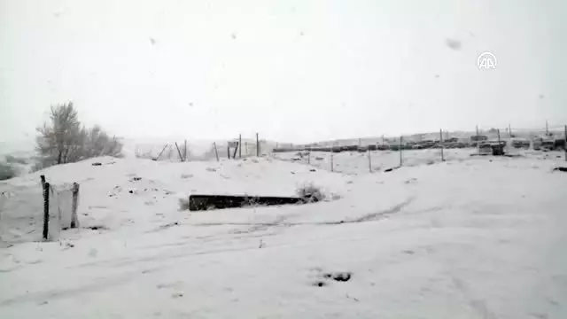 Koronavirüs tedbirleri