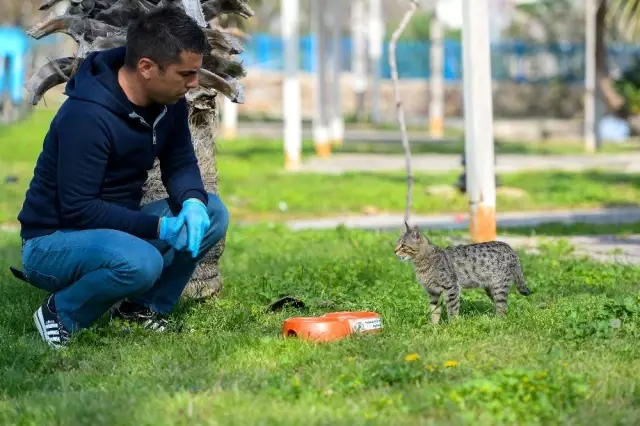 Muratpaşa'dan sokak hayvanlarına mama desteği Muratpaşa'dan sokak hayvanlarına mama desteği