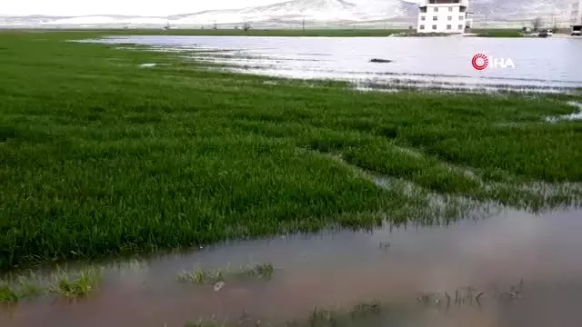 Şiddetli yağış tarım alanlarını göle çevirdi Şiddetli yağış tarım alanlarını göle çevirdi