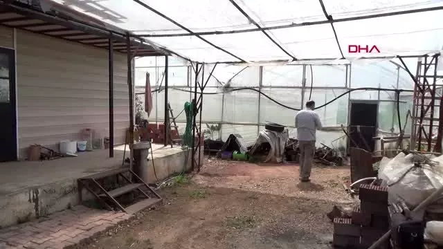 Antalya'da örtü altı üretim aralıksız sürüyor Antalya'da örtü altı üretim aralıksız sürüyor