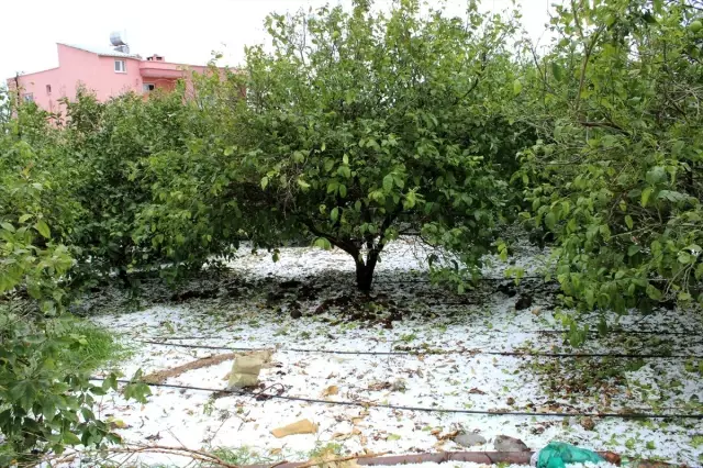 Mersin'de dolu tarım arazilerine zarar verdi Mersin'de dolu tarım arazilerine zarar verdi