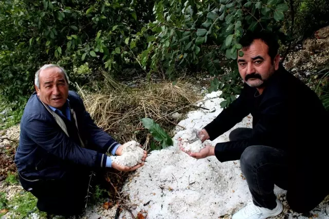 Mersin'de dolu tarım arazilerine zarar verdi Mersin'de dolu tarım arazilerine zarar verdi