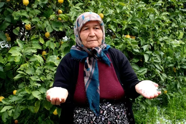 Mersin'de dolu tarım arazilerine zarar verdi Mersin'de dolu tarım arazilerine zarar verdi