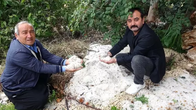 Mersin'de şiddetli dolu yağışı Mersin'de şiddetli dolu yağışı