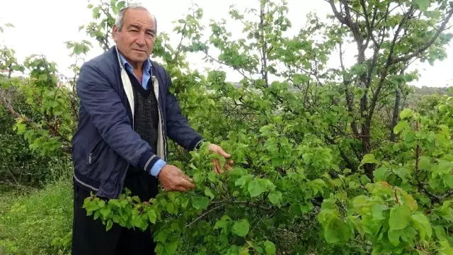 Mersin'de şiddetli dolu yağışı Mersin'de şiddetli dolu yağışı