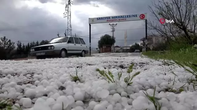 Mersin'de şiddetli dolu yağışı meyve bahçelerini vurdu Mersin'de şiddetli dolu yağışı meyve bahçelerini vurdu