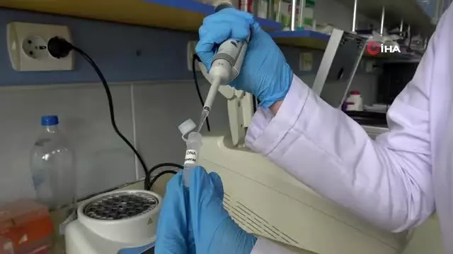 Yerli ve milli enzimle korona virüs tanısında başarı yakalanacak Yerli ve milli enzimle korona virüs tanısında başarı yakalanacak