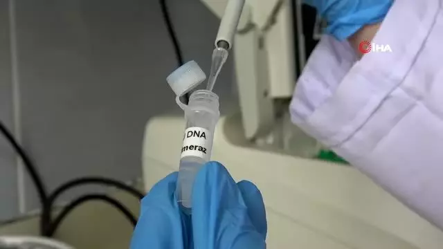 Yerli ve milli enzimle korona virüs tanısında başarı yakalanacak Yerli ve milli enzimle korona virüs tanısında başarı yakalanacak