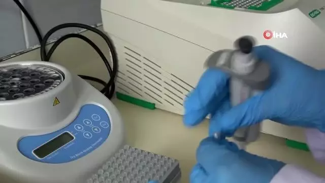 Yerli ve milli enzimle korona virüs tanısında başarı yakalanacak Yerli ve milli enzimle korona virüs tanısında başarı yakalanacak