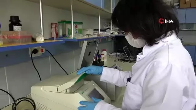 Yerli ve milli enzimle korona virüs tanısında başarı yakalanacak Yerli ve milli enzimle korona virüs tanısında başarı yakalanacak