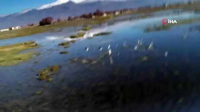 Avrupalı seçkin sağlık ve esenlik destinasyonu Balıkesir oldu Avrupalı seçkin sağlık ve esenlik destinasyonu Balıkesir oldu
