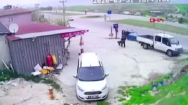 Denizli'de iki otomobil çarpıştı 1 ölü, 2 yaralı Denizli'de iki otomobil çarpıştı 1 ölü, 2 yaralı
