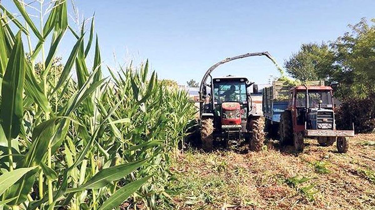 Hazineye ait tarım arazilerinin kiraları 6 ay ertelendi