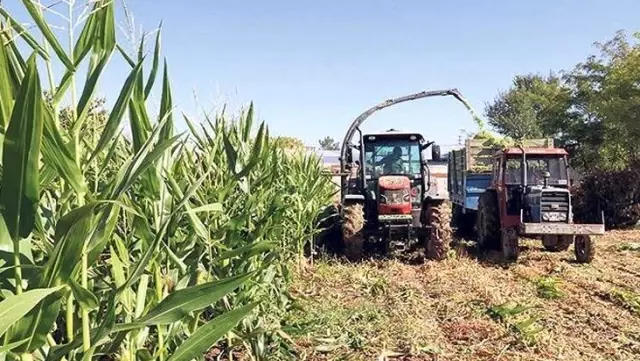 Hazineye ait tarım arazilerinin kiraları 6 ay ertelendi Hazineye ait tarım arazilerinin kiraları 6 ay ertelendi