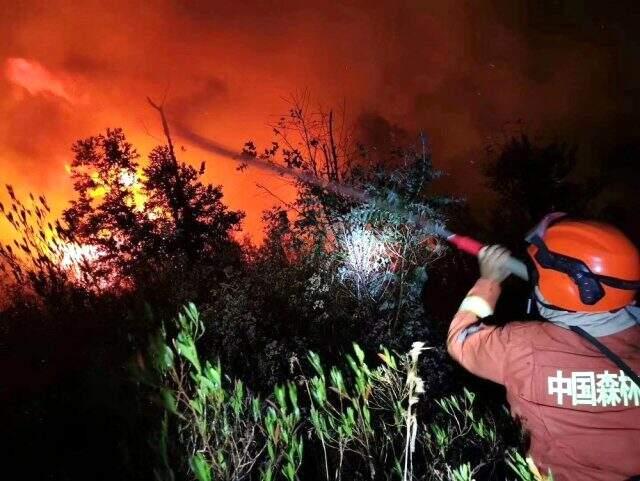 Koronavirüs sebebiyle 3 bini aşkın vatandaşını kaybeden Çin'de orman yangını felaketi: 19 ölü.