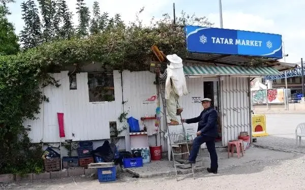 Oğul veren arılar marketin çatısında toplandı Oğul veren arılar marketin çatısında toplandı