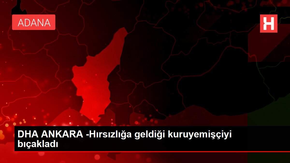 DHA ANKARA -Hırsızlığa geldiği kuruyemişçiyi bıçakladı