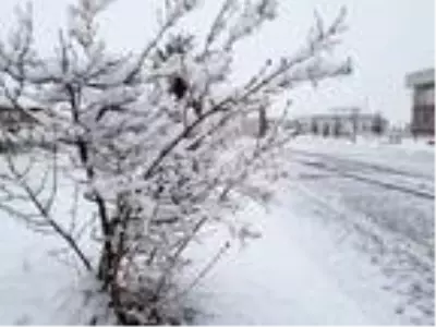 Erzurum halkı bembeyaz bir sabaha uyandı.