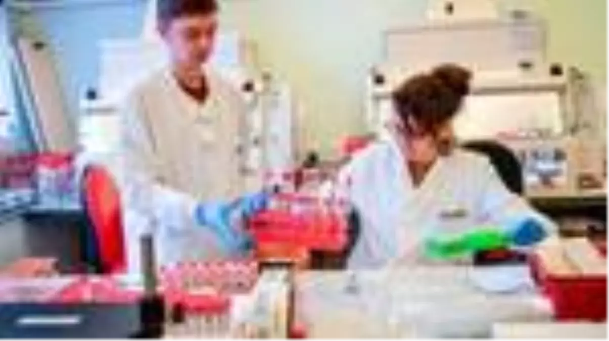 Koronavirüs testleri: İngiltere'de test kitlerinin yetersizliği siyasi sorun haline geliyor