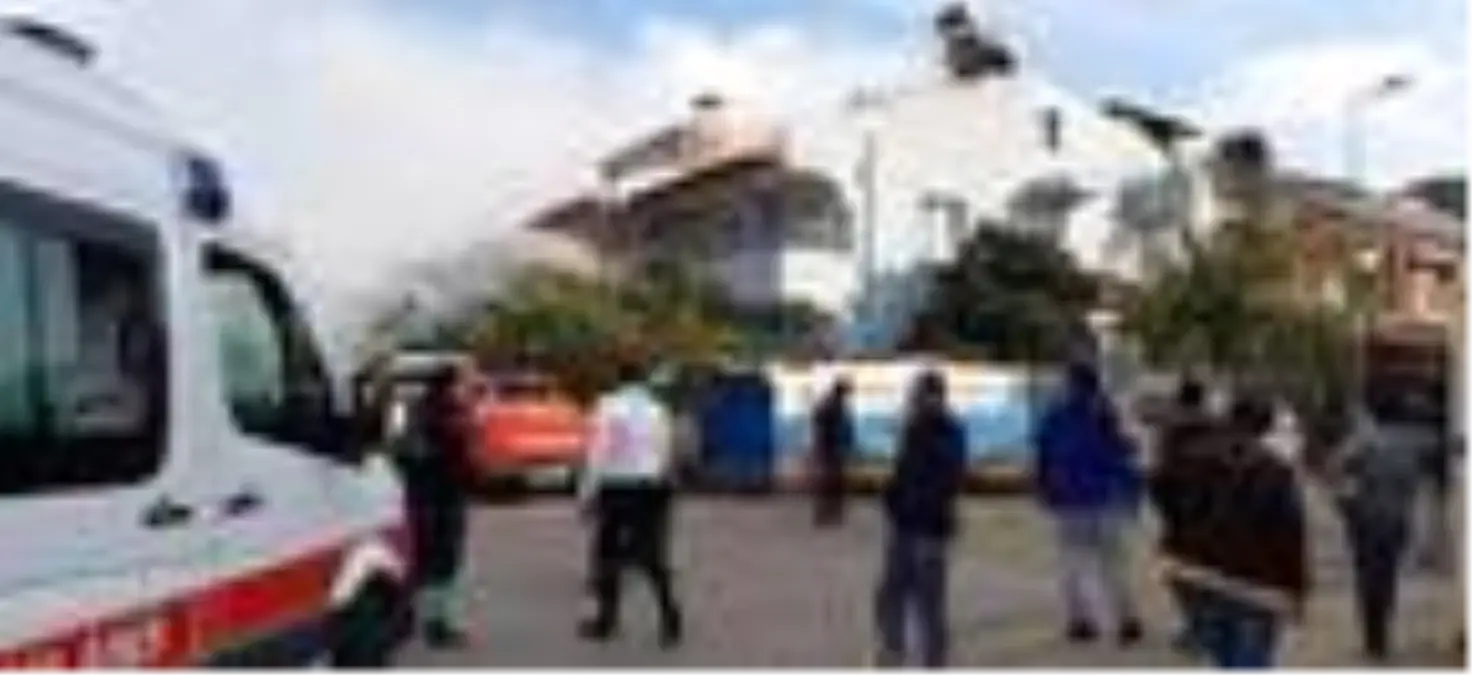 Marmaris'te, villanın çatısında çıkan yangında 50 kuş öldü