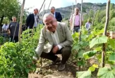 Ordu'da Büyükşehir'den üreticilere tam destek